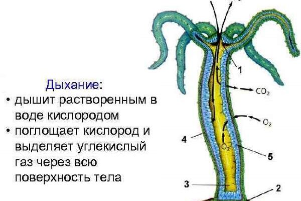 Kra18gl