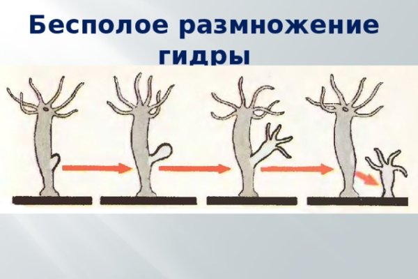 Кракен onoin