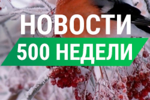 Кракен зеркало на сегодня